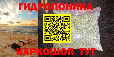 мдпв Аргун