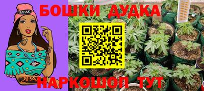 мдпв Аргун