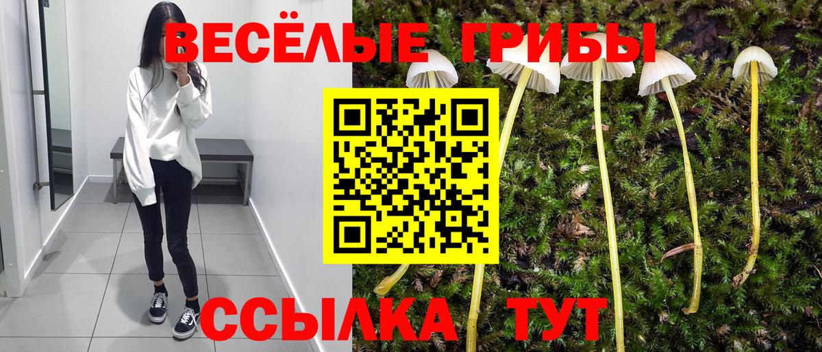 Галлюциногенные грибы GOLDEN TEACHER  Псилоцибиновые грибы мицелий  Вход с VPN  Бузулук 