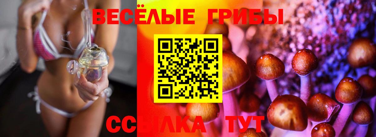Псилоцибиновые грибы GOLDEN TEACHER Бузулук